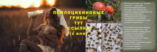 Альфа ПВП Михайлов