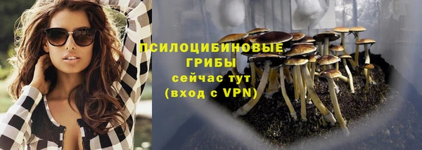 герыч Анива