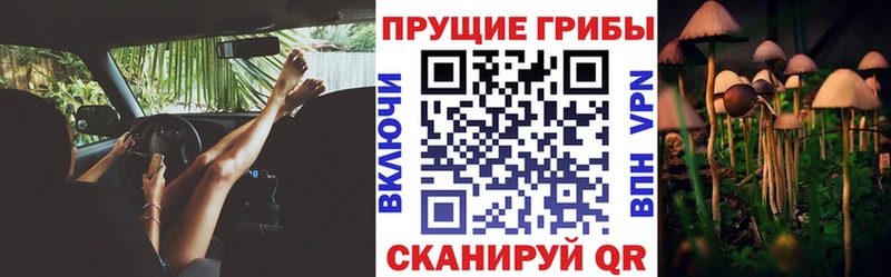 Псилоцибиновые грибы GOLDEN TEACHER  Нахабино 