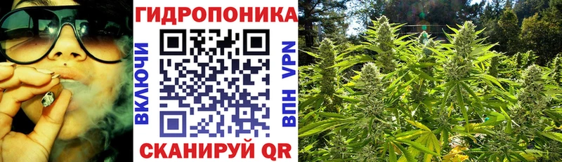 Конопля LSD WEED  дарнет шоп  Нахабино 
